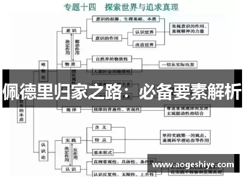 佩德里归家之路：必备要素解析