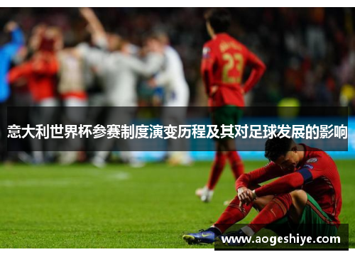 意大利世界杯参赛制度演变历程及其对足球发展的影响